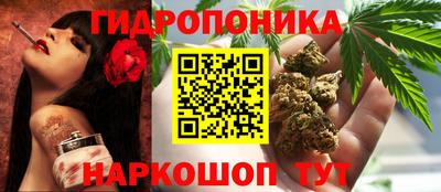 a pvp Малгобек