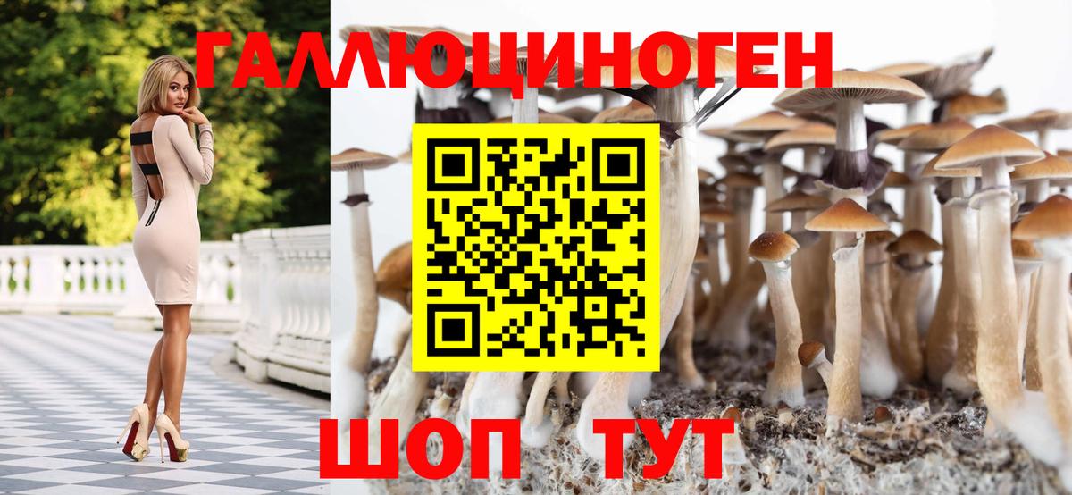 Тимашёвск  Псилоцибиновые грибы мицелий  Псилоцибиновые грибы Psilocybe  даркнет сайт  Вход с VPN 